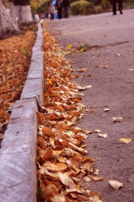 x_f58c1086.jpg (64.84 КБ) Просмотров: 17182 x_f58c1086.jpg